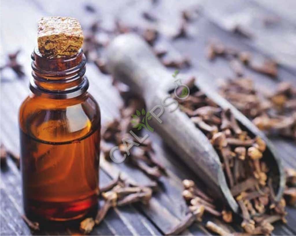 Comprar Clove Bud CO2 Extrae Aceite Esencial